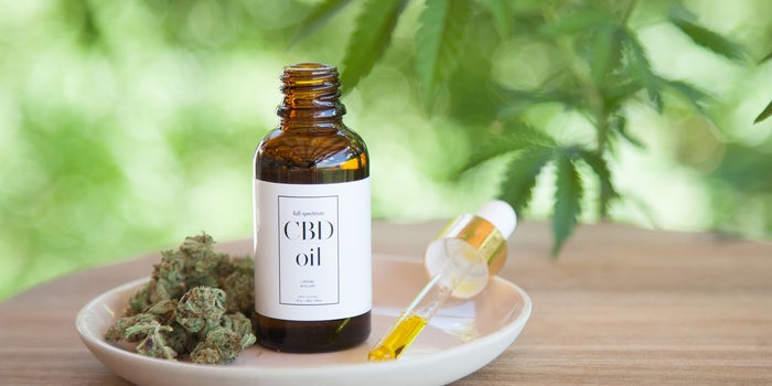 Finding the Right CBD Product for You